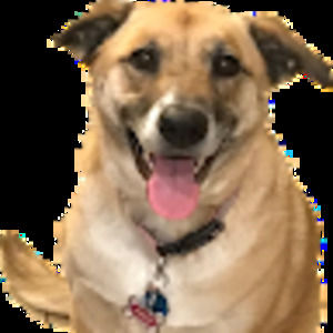 Meet your Posher, Ben